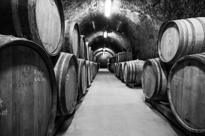 Eger Private Full-Day Wine Tasting Tour and Sightseeing from Budapest - Price, group size, and when this tour is good value