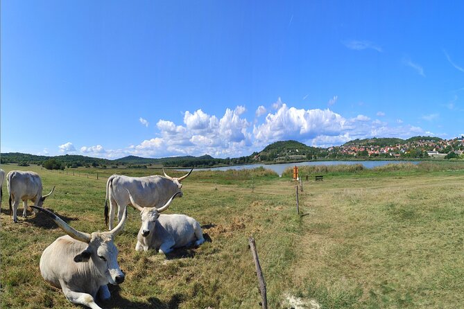 Essence of Hungarian Rural Beauty: 5 Hour Balaton Private Tour - Lake Balaton Stop 1: A Quick View You Can Enjoy