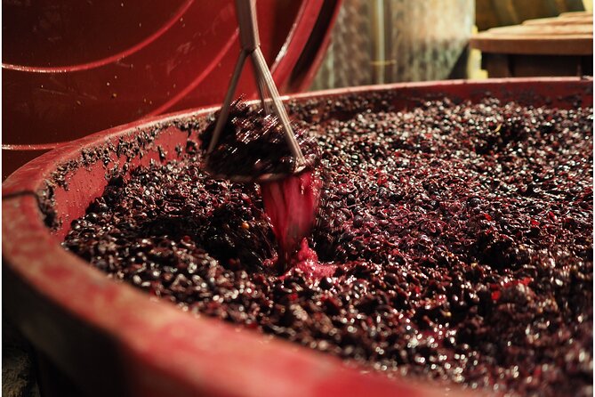 Etyek Private Half-Day Wine Tasting Tour from Budapest - How Many Wines You’ll Taste, and How to Get More From It