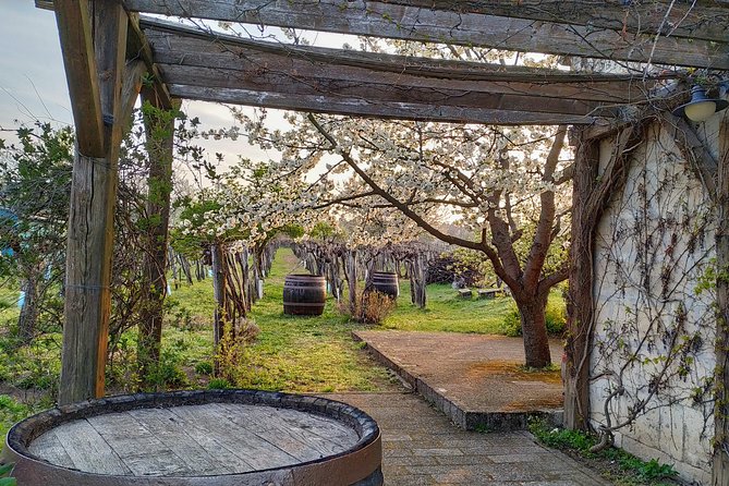 ETYEK wine trip - Just a stone’s throw away from Budapest - Key Highlights You Will Actually Care About