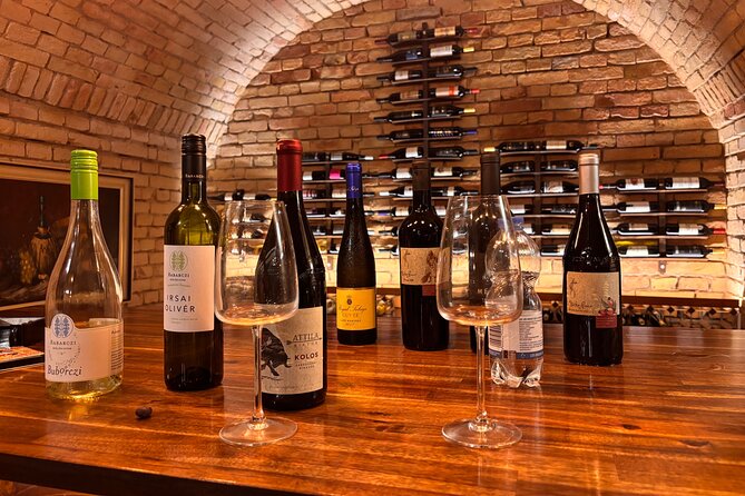 Exclusive Hungarian Wine and Gastronomy Experience Luxury Package - The Historic Basement Setting, and How to Find It