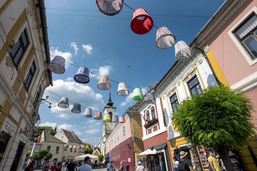 From Budapest: Danube Bend Day Trip in English - Price and value: $91 for three towns and one big river