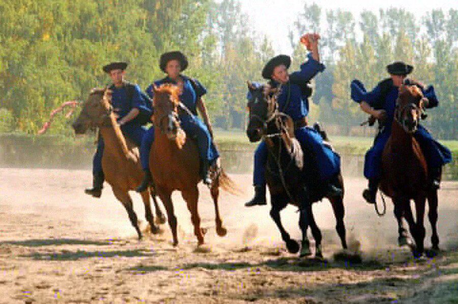 From Budapest: Full-Day Puszta Tour with Lunch and Show - Key Things to Know Before You Go