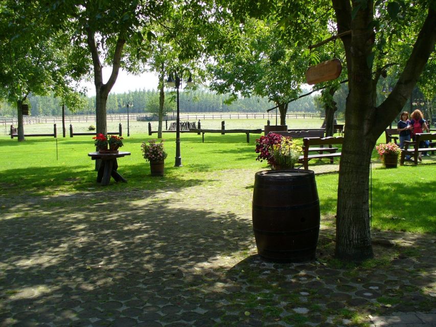 From Budapest: Full-Day Puszta Tour with Lunch and Show - Why This Puszta Day Trip Works So Well From Budapest