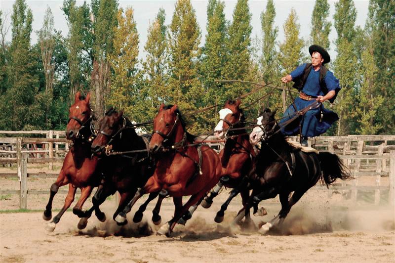 From Budapest: Full-Day Puszta Tour with Lunch and Show - Kecskemét Guided Walk: Sights, Stories, and Free Time