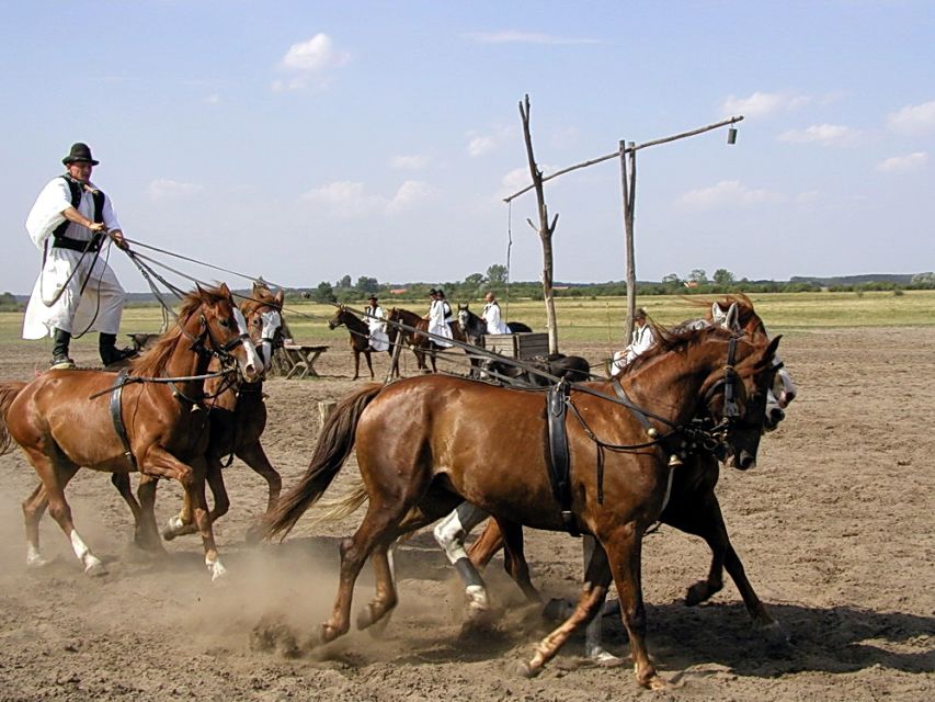 From Budapest: Full-Day Puszta Tour with Lunch and Show - Price and Logistics: Is $133 Worth It?