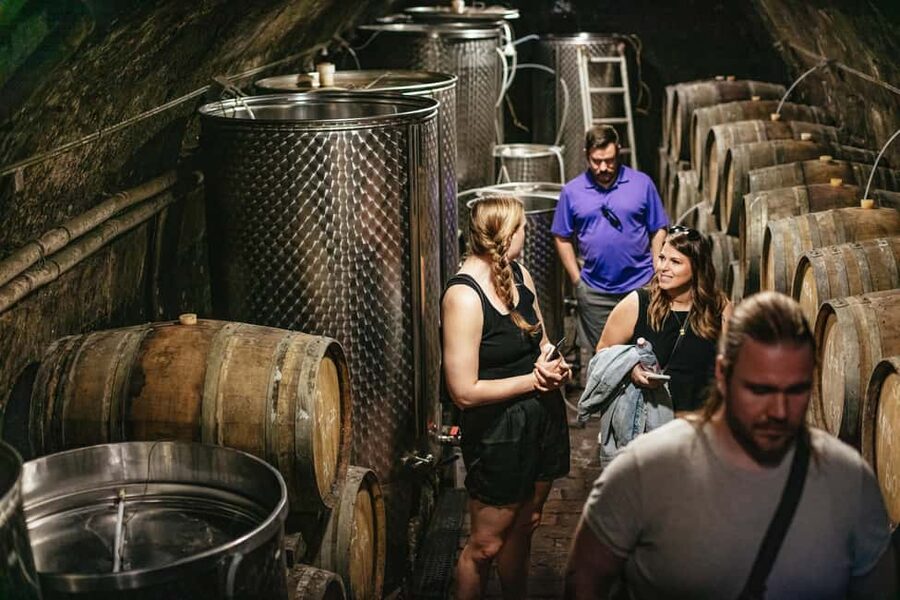 From Budapest: Half-Day Countryside Wine Tour with Meal - The Guide Makes the Difference: What You’ll Learn on the Drive and in the Cellar