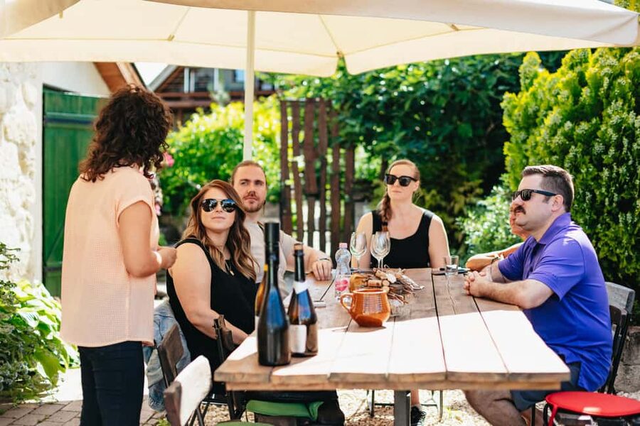 From Budapest: Half-Day Countryside Wine Tour with Meal - Entering Etyek Wine Country: The Rhythm of the Half-Day
