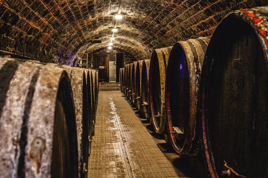 From Budapest: Mátra Hills Wine Tour - Price and Value: Is $341 for 5 Hours a Good Deal?