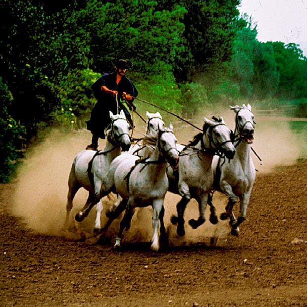From Budapest: Puszta Horse Show and Countryside Visit - Key Things I’d Plan For