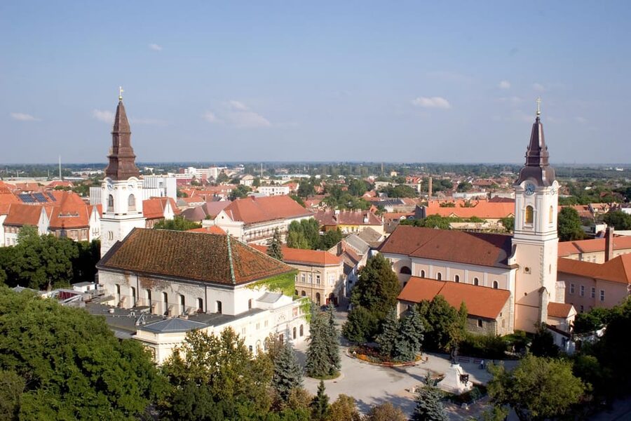 From Budapest: Puszta Horse Show and Countryside Visit - Horse-Carriage Ride: Slow Motion After Performance Mode