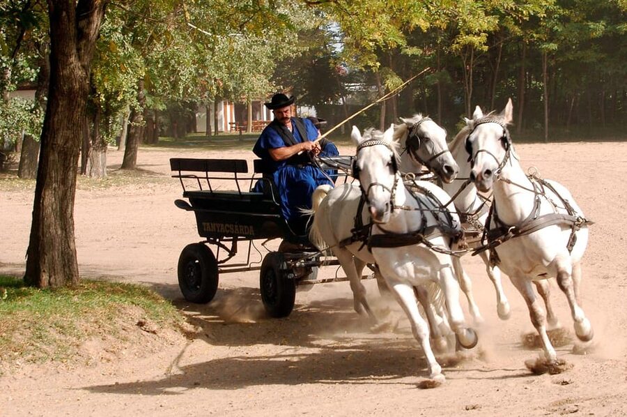 From Budapest: Puszta Horse Show and Countryside Visit - Guide Style Matters: When Gabriella or Maria Helps the Day Make Sense