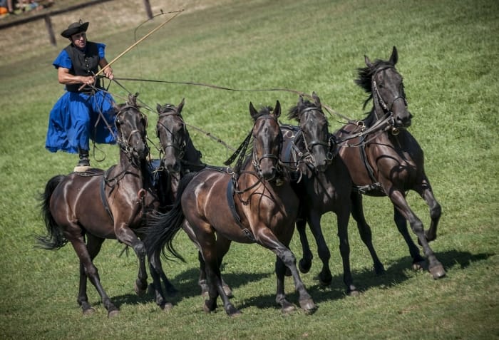 From Budapest: Puszta Horse Show and Countryside Visit - Kecskemét Stop: Fast City Feel, One-Guided-Walk Payoff