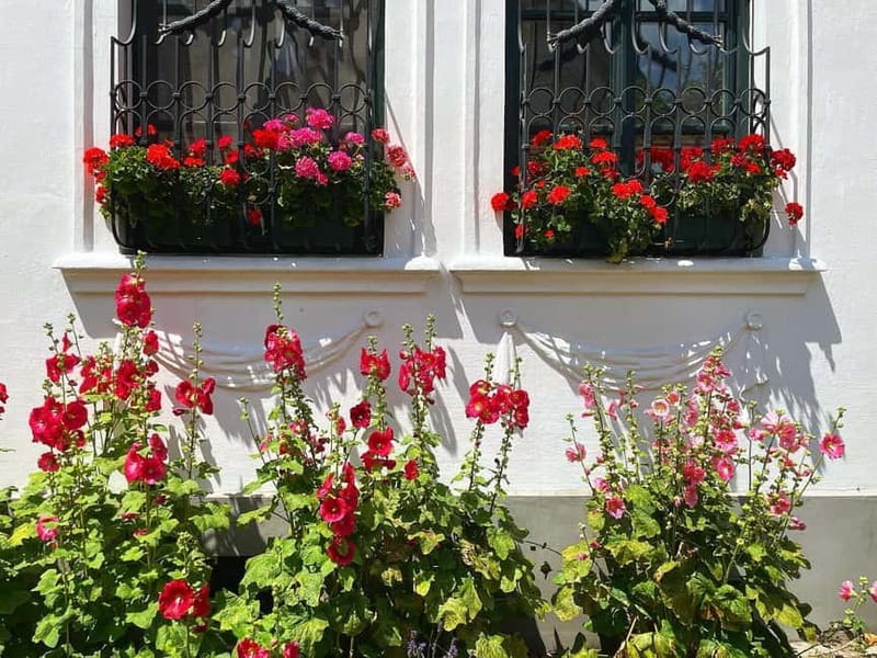 From Budapest: Szentendre Art and History with StreetFood - StreetFood tasting: langos and local bites that fit a half-day