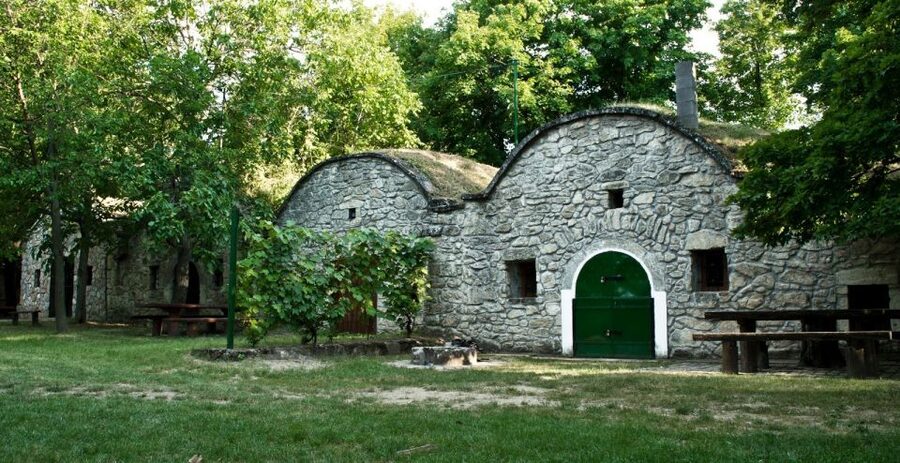 From Budpaest: Páty Wine Village Tour with Tastings - Who This Tour Suits Best (And Who Should Skip It)