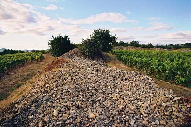 Full-Day Custom Tokaj Wine Tour - Key highlights worth showing up for
