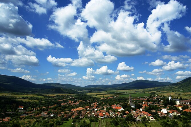 Full-Day Custom Tokaj Wine Tour - A Private Tokaj Day Trip from Miskolc, Built for Real Wine Time