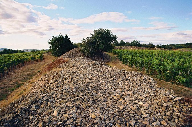 Full-Day Custom Tokaj Wine Tour - Stop 4: Nobilis Udvarház with Sarolta Bárdos and the Sparkling Line