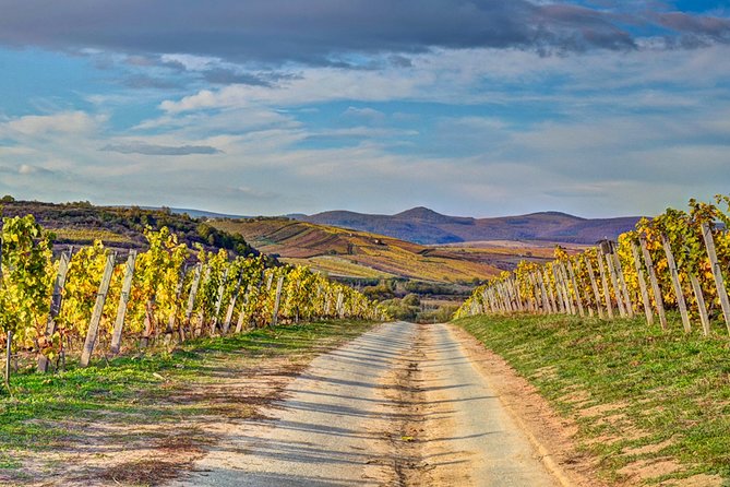 Full-Day Tokaj UNESCO World Heritage Site Private Wine Tour - Key highlights worth your attention