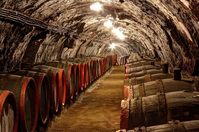 Full-Day Tokaj UNESCO World Heritage Site Private Wine Tour - Getting from Budapest: 8:30 start, pickup, and a full day rhythm