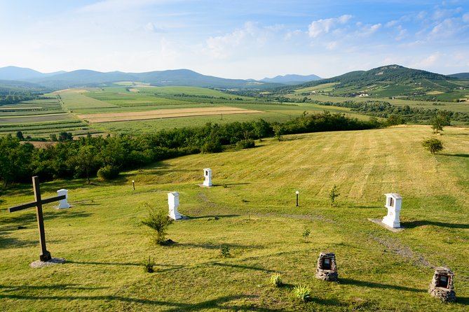 Full-Day Tokaj UNESCO World Heritage Site Private Wine Tour - Tokaj town for lunch, tastings, and two wine cellars