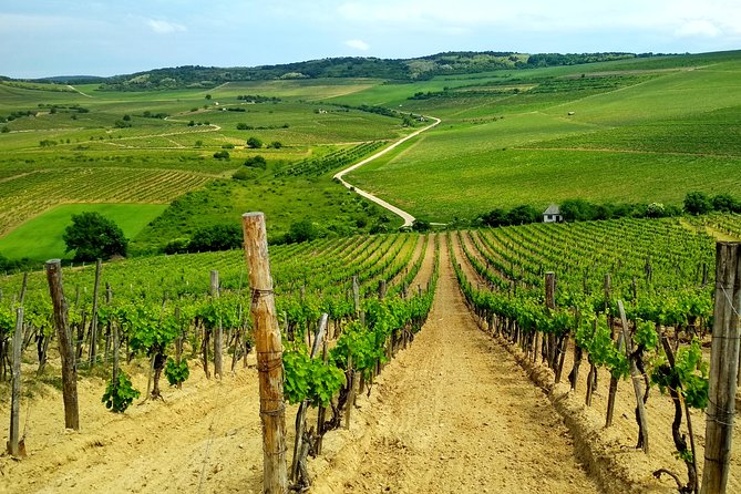 Full-Day Tokaj UNESCO World Heritage Site Private Wine Tour - Stop 1 in Mád: a renovated old synagogue that kicks off the wine story