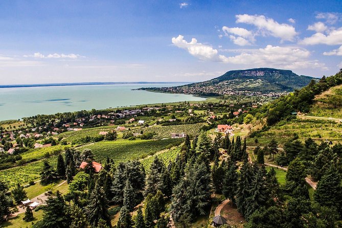Full-Day Wine Tasting at Lake Balaton Private Tour from Budapest - The hidden value: food, snacks, and pacing