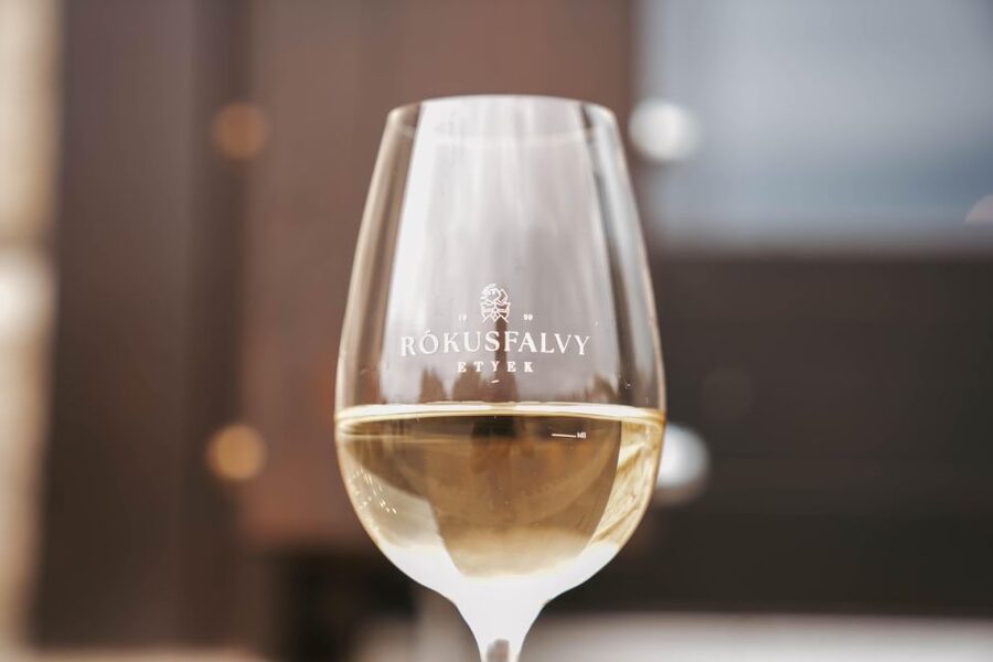 Guided wine tasting at Rókusfalvy Estate - Stepping Into Rókusfalvy Estate’s Vineyard World Near Budapest