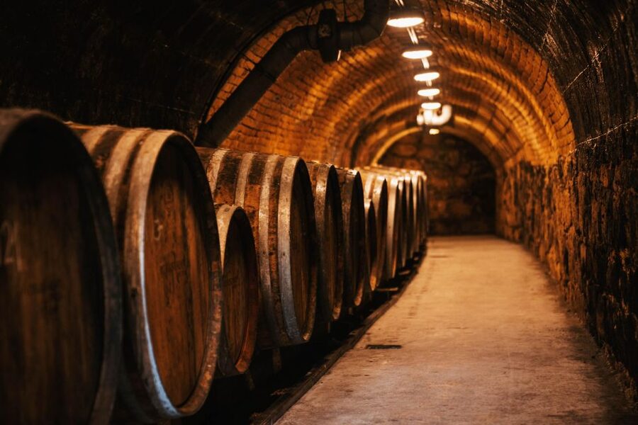 Guided wine tasting at Rókusfalvy Estate - Views and Atmosphere: Why the Setting Matters