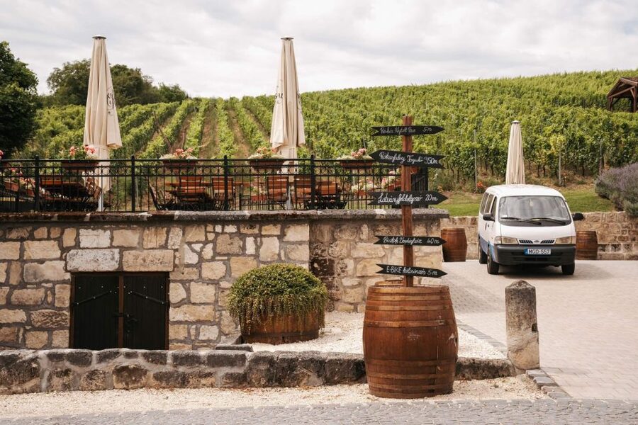 Guided wine tasting at Rókusfalvy Estate - Your 1.5-Hour Schedule: Scones, Four Pours, and a Vine Walk