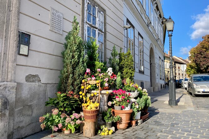 Half day private walking tour on the BUDA side - Four hours on the Buda side, what you can actually fit