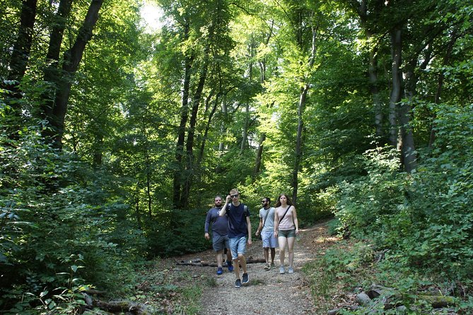 Hiking in Budapest - Price and Value: $72.59 for Four Hours in the Hills