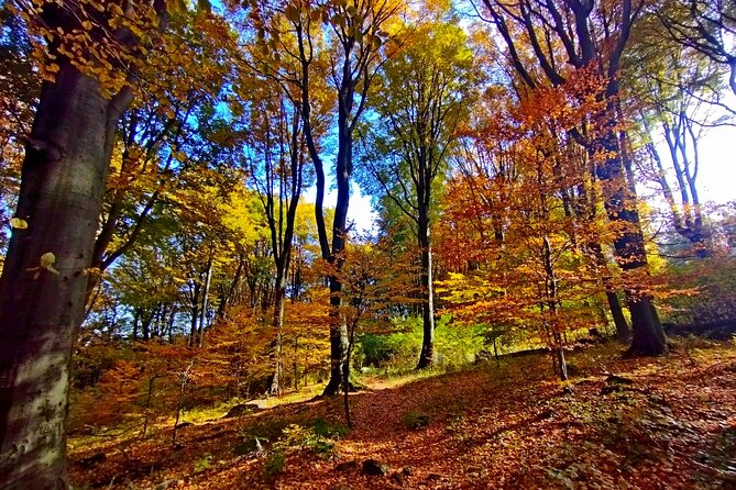 Hiking tour to the Peak of Hungary - Leaving Budapest for the Mátra: the bus ride that buys you mountain time