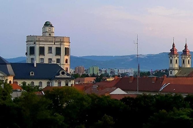 Home to Bull's Blood red wine! Eger with winetaste private tour - Minorita Templom and the Basilica: baroque details and famous names