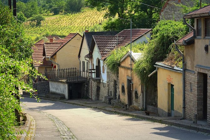 Home to Bull's Blood red wine! Eger with winetaste private tour - Pacing, comfort tips, and how to make the day smoother