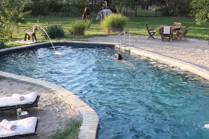 Horseback Riding and yurt stay in the Puszta, 1 hour morning ride - Horseback riding in Hungarys Southern Great Plains, but without the stress
