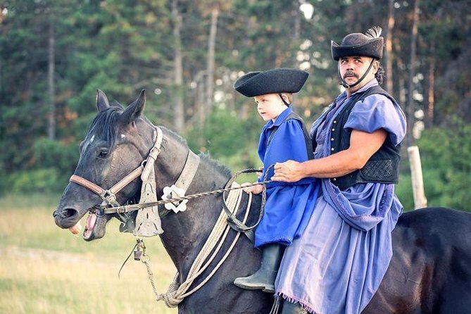 Horseshow on the Hungarian Puszta, private tour from Budapest with entry! - Key things that make this puszta show worth your time