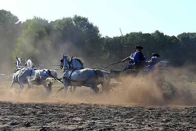 Horseshow on the Hungarian Puszta, private tour from Budapest with entry! - Hungarian Lunch with Wine: Comfort Food Plus a Cultural Moment