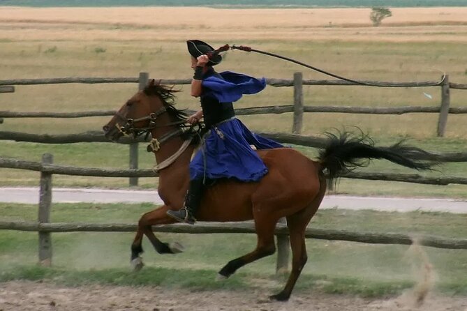 Horseshow on the Hungarian Puszta, private tour from Budapest with entry! - Transport, Dress, and How to Make the 6 to 7 Hours Feel Short