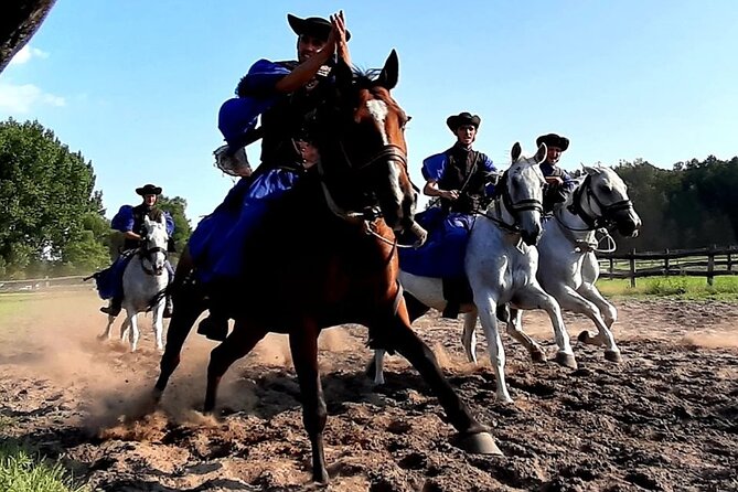 Horseshow on the Hungarian Puszta, private tour from Budapest with entry! - Value at $360 Per Person: When This Budget Makes Sense