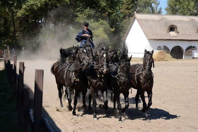Horseshow on the Hungarian Puszta, private tour from Budapest with entry! - The Puszta Horse Show: From Traditional Horsemanship to Crowd-Pleasers