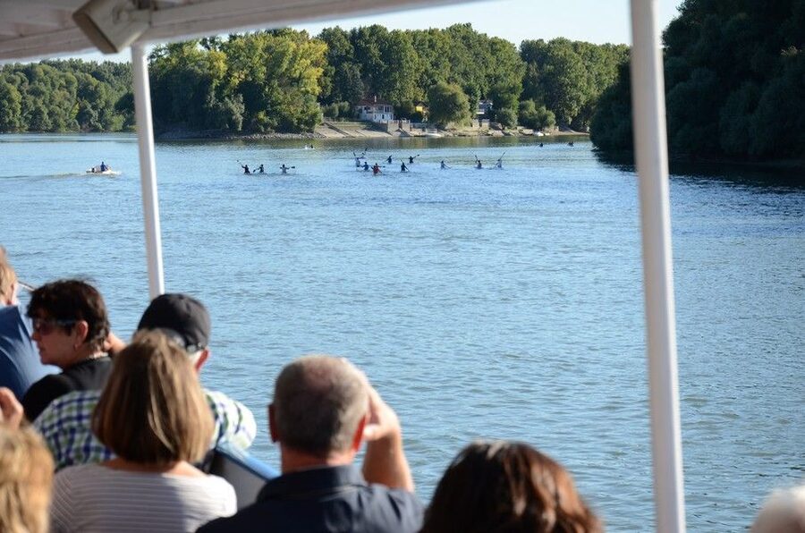 Hungary: Full-Day Private Danube Bend Tour - How the Private Setup Changes the Day