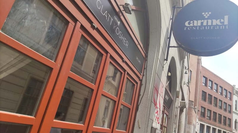 Jewish Budapest (German-language city tour) - Great (Dohány) Synagogue, Emanuel Tree, and the Hungarian Holocaust Context
