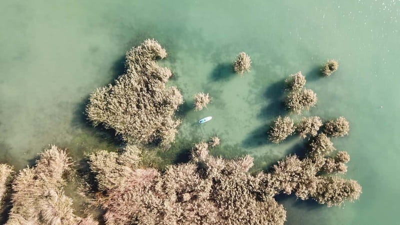 Lake Balaton 3 hour SUP tour - self-guided - Is $58 worth it for a 3-hour SUP on Lake Balaton?