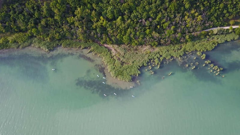 Lake Balaton 3 hour SUP tour - self-guided - Practical logistics that help you enjoy it more