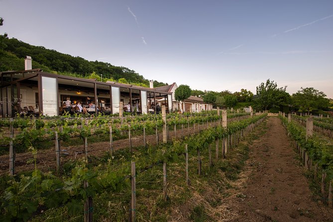 Lake Balaton Full Day Private Wine Tour - North Shore winery tastings: what up to 11 to 12 wines feels like