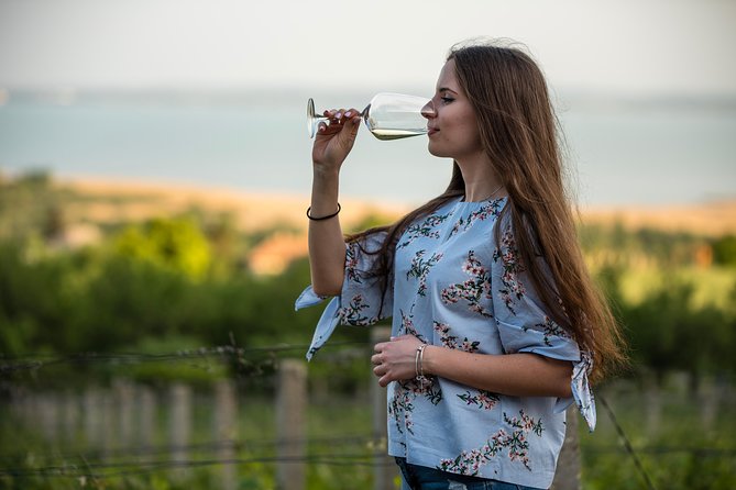 Lake Balaton Full Day Private Wine Tour - Private vehicle and your guide: why it feels easy