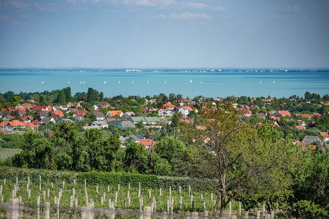 Lake Balaton Full Day Private Wine Tour - Tihany Peninsula and Tihany Echo: Abbey views and folk art time