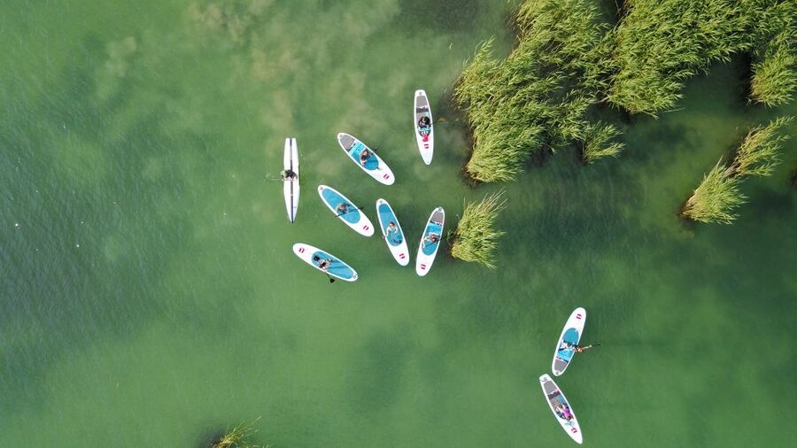 Lake Balaton: Paddle Board Tour of Tihany National Park - Key highlights you will care about