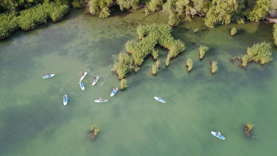 Lake Balaton: Paddle Board Tour of Tihany National Park - From Club Tihany to Tihany National Park, one easy paddle